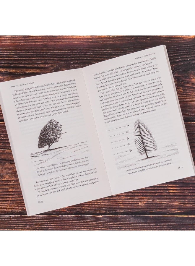How to Read a Tree: The Sunday Times Bestseller - Image 4