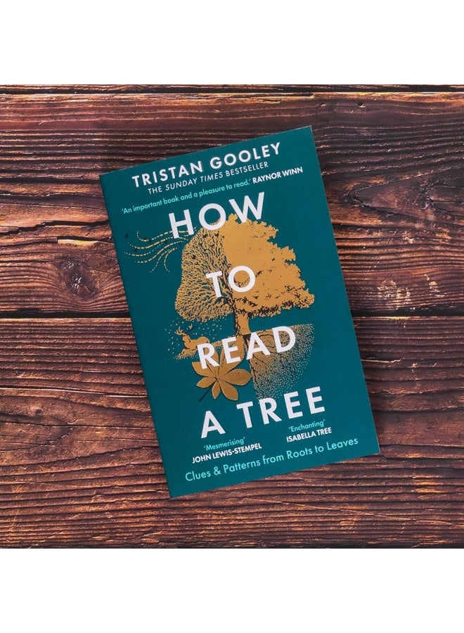 How to Read a Tree: The Sunday Times Bestseller - Image 3