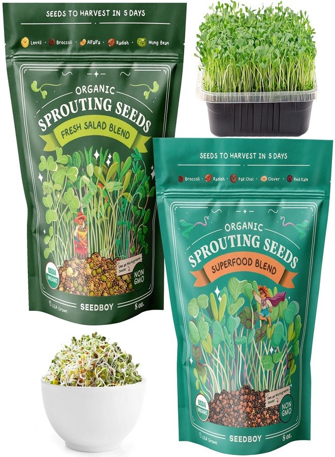 Seedboy Organic Non-GMO Radish Seeds for Sprouting - USA Grown Microgreens Sprouting Seeds - 8 oz Bag Makes 8 Quarts / 24 Servings (Daikon Radish) - Image 1
