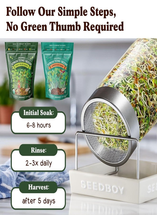 Seedboy Organic Non-GMO Radish Seeds for Sprouting - USA Grown Microgreens Sprouting Seeds - 8 oz Bag Makes 8 Quarts / 24 Servings (Daikon Radish) - Image 5