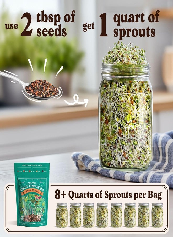 Seedboy Organic Non-GMO Radish Seeds for Sprouting - USA Grown Microgreens Sprouting Seeds - 8 oz Bag Makes 8 Quarts / 24 Servings (Daikon Radish) - Image 3
