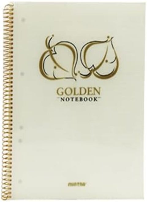 Mintra Wired 100 Papers Lined Plastic Cover A4 University Notebook, Golden/Silver