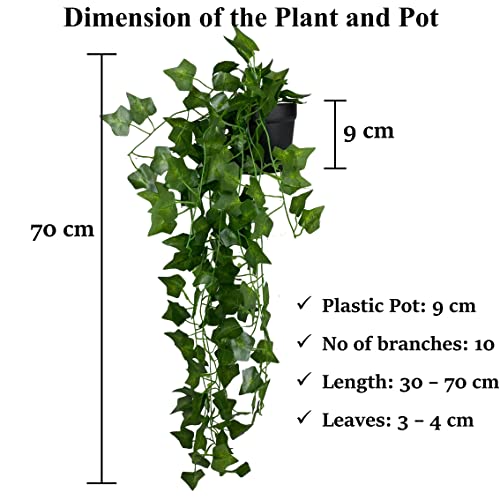 Tdas Artificial Plants with Pot Leaves Hanging Ivy Garlands Plant Greenery Vine Creeper Home Decor Door Wall Balcony Decoration Party Festival Craft (2 Pcs Money Plants) Plastic - Image 2