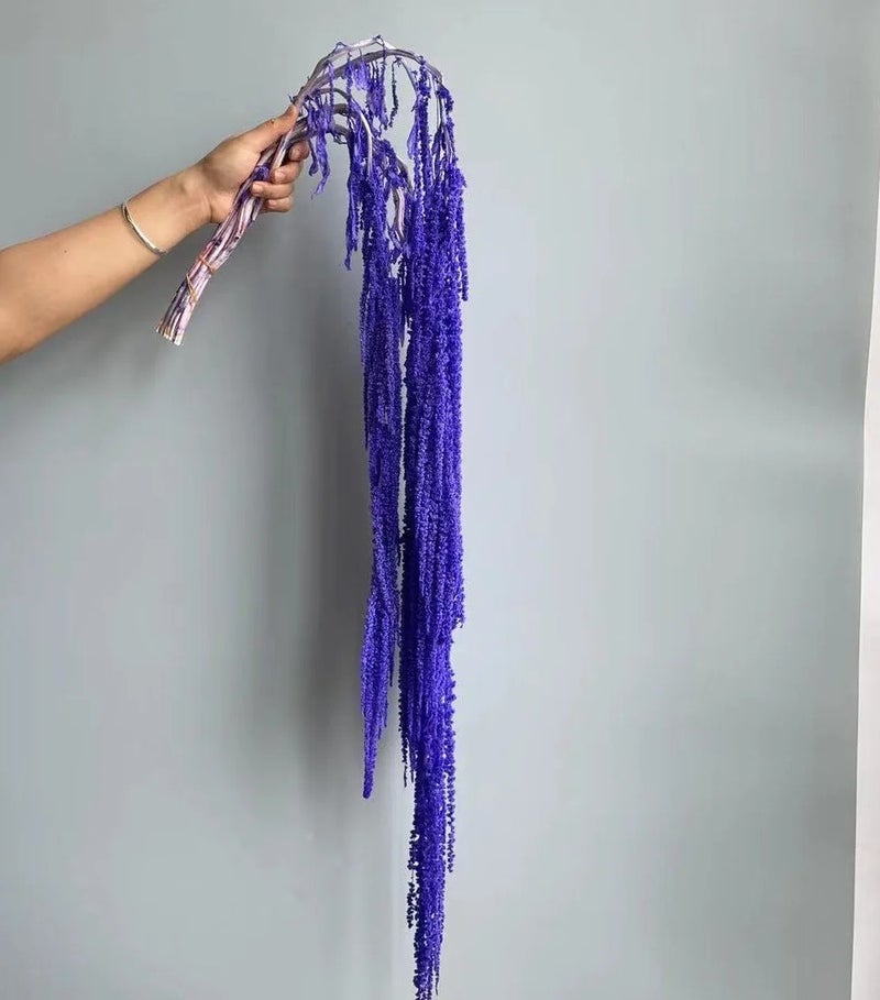 Bluejw New Color Amaranth Dried Plants – Natural Preserved Hanging Amaranthus for High-Quality Wedding Bouquet & Floral Decoration - Image 1