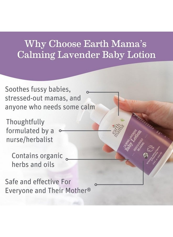 Earth Mama Earth Mama Calming Lavender Baby Lotion for Dry Skin, Calendula Cream for Newborn Skin Care, Organic Moisturizer for Children with Aloe Juice, Rooibos, & Shea Butter, Lavender Lotion, 8 Fl Oz - Image 2