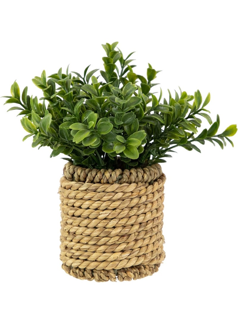 NAMA Artificial green plant in a hand-woven wicker pot - rustic decor for home and office - Image 1