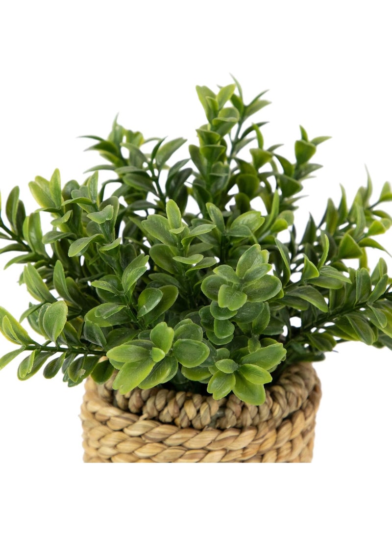 NAMA Artificial green plant in a hand-woven wicker pot - rustic decor for home and office - Image 3