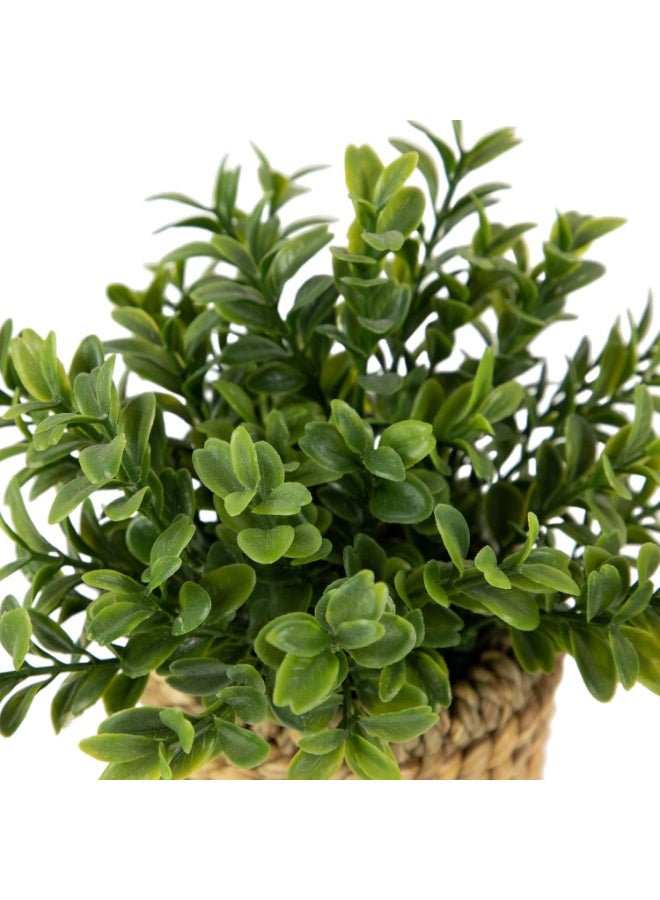 NAMA Artificial green plant in a hand-woven wicker pot - rustic decor for home and office - Image 2