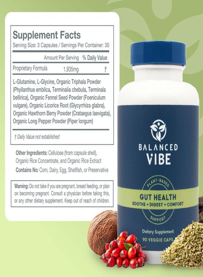 مكمل غذائي Balanced Vibe لصحة الأمعاء - راحة الجهاز الهضمي ودعم الأمعاء لامتصاص أفضل للعناصر الغذائية - نباتي مع إل-جلوتامين وتريفالا - نباتي، 90 كبسولة - Image 3
