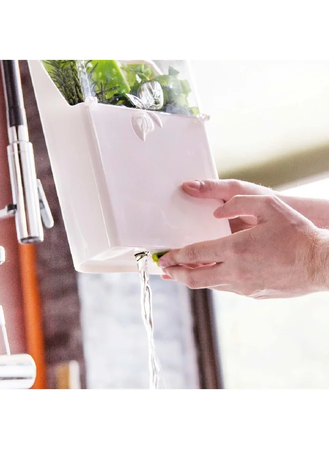 Felli Freezer Safe Snap Closure Fresh Herb Storage Container White and Green  26.1 x 9.8 x 18.8 cm