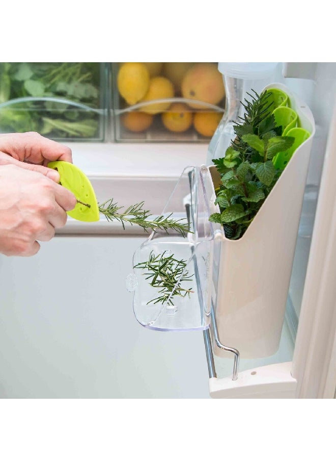 Felli Freezer Safe Snap Closure Fresh Herb Storage Container White and Green  26.1 x 9.8 x 18.8 cm  - Image 5