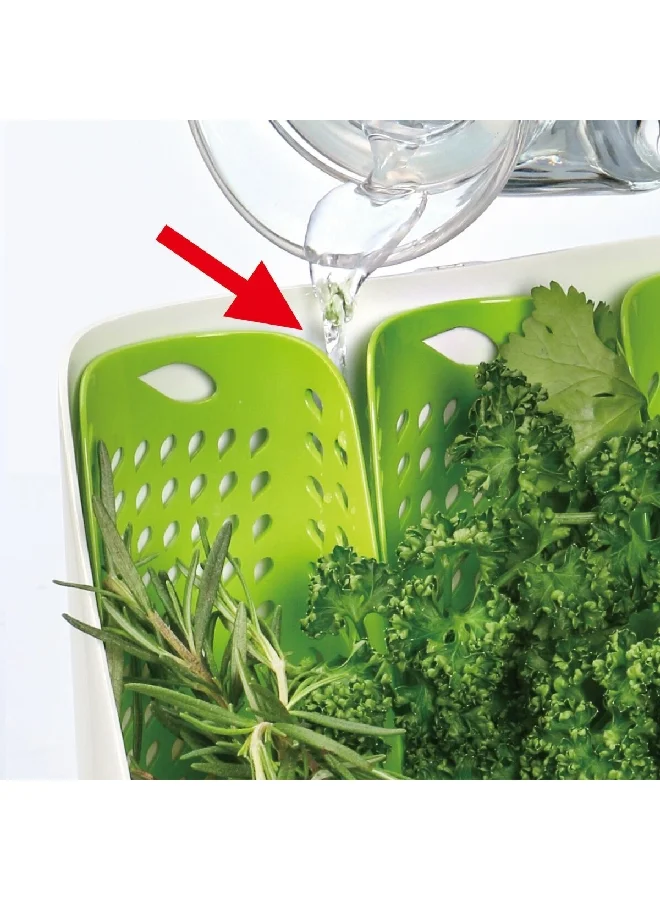 Felli Freezer Safe Snap Closure Fresh Herb Storage Container White and Green  26.1 x 9.8 x 18.8 cm