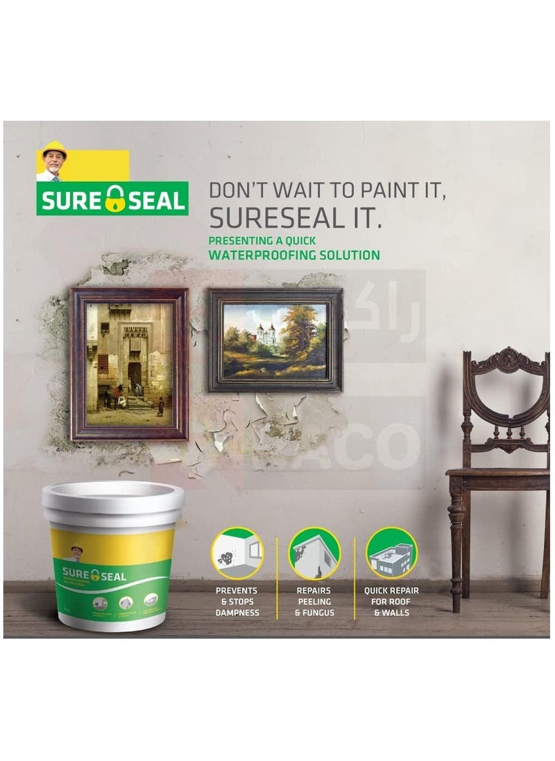 Pidilite - RACO DR.FIXIT Sure Seal Water Proofing All-Rounder Internal and External Walls and Roof Patch Repair 5 Kg - Image 1