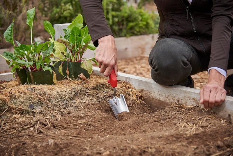 Corona CT 3314 Premium Stainless Steel ComfortGEL Garden Trowel, 13.5" Overall Length, Handle Length 7", Red - Image 4