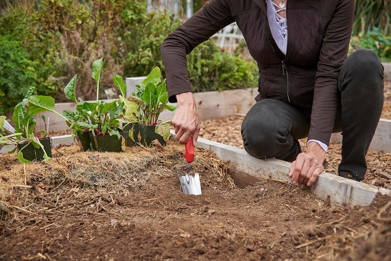 Corona CT 3314 Premium Stainless Steel ComfortGEL Garden Trowel, 13.5" Overall Length, Handle Length 7", Red - Image 2