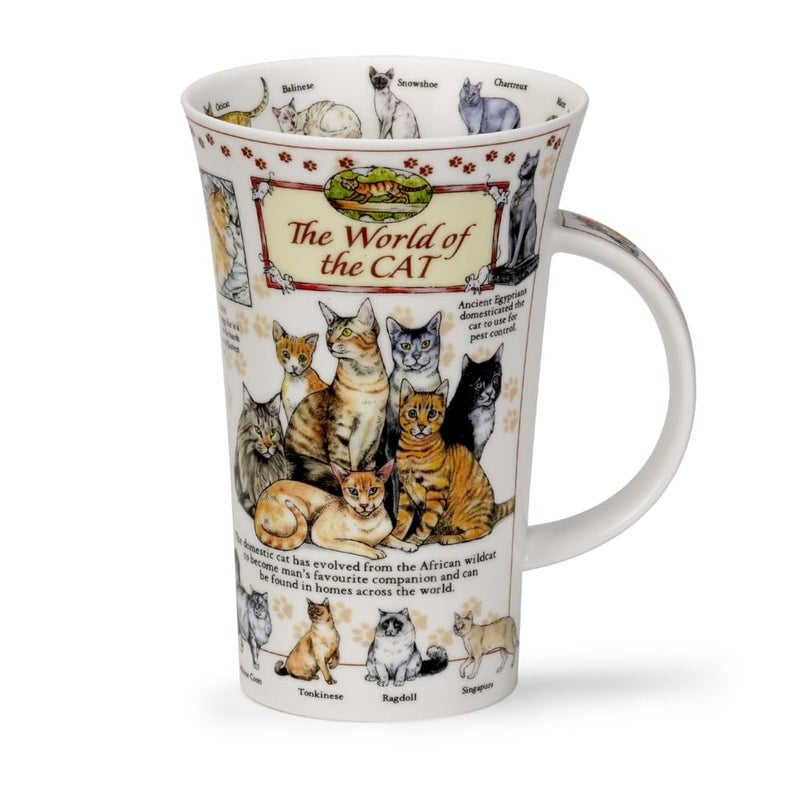 Dunoon Glencoe Fine China Educational WORLD OF THE CAT Mug Cup 500ml