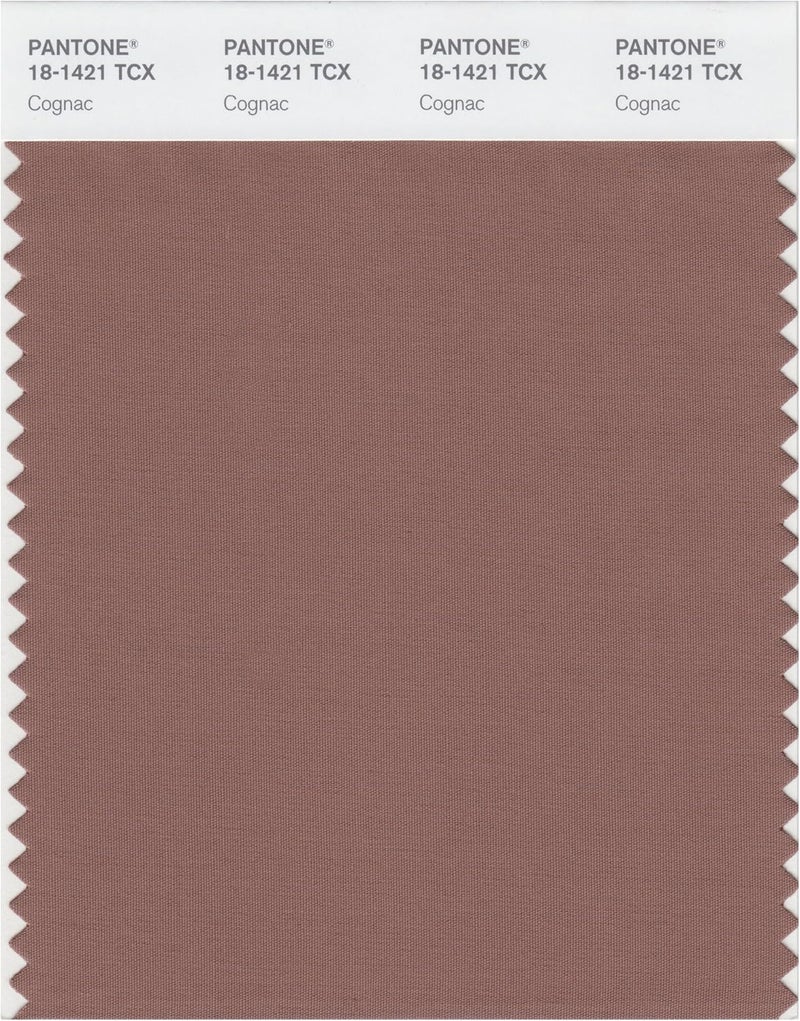 Smart 18-1421X Color Swatch Card, Cognac