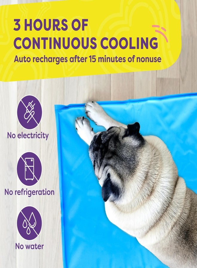 Hertzko Dog Mat & Chew Toy Set - Gel Pad with Innovative Gel Technology - Portable, Non-Toxic Pet Mat for Small to Medium Dogs & Cats up to 55 lbs - Ideal for Hot Days, Indoor & Outdoor Use - Image 3