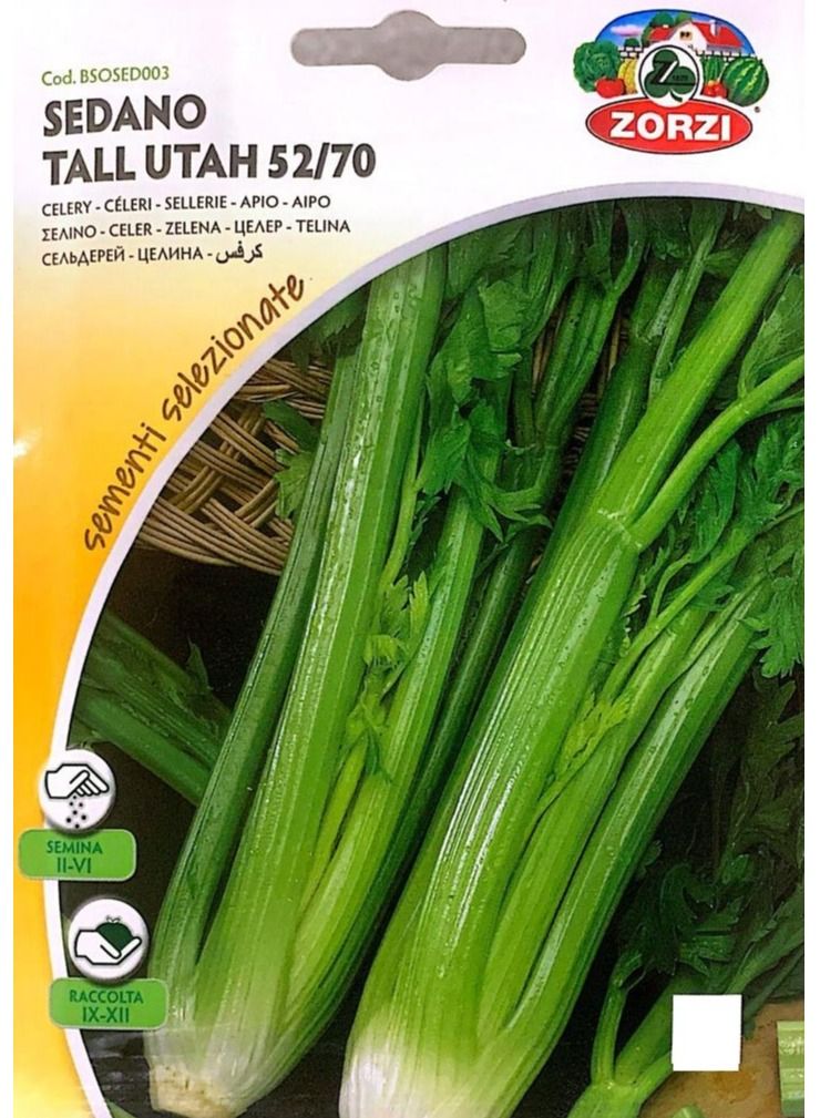 ZORZI Celery Seeds
