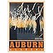 MyPuzzle.com MyPuzzle American College Towns Auburn Alabama Vintage Poster Premium 1000 Piece Jigsaw Puzzle for Adults - Image 2