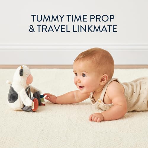 Itzy Ritzy Sensory Tummy Time Toy Mirror - Features Crinkle & Jingle Sounds, Multiple Textures and Mirror for Self-Discovery, Infant Toy for Ages 0 Months and Up, Cow - Image 2