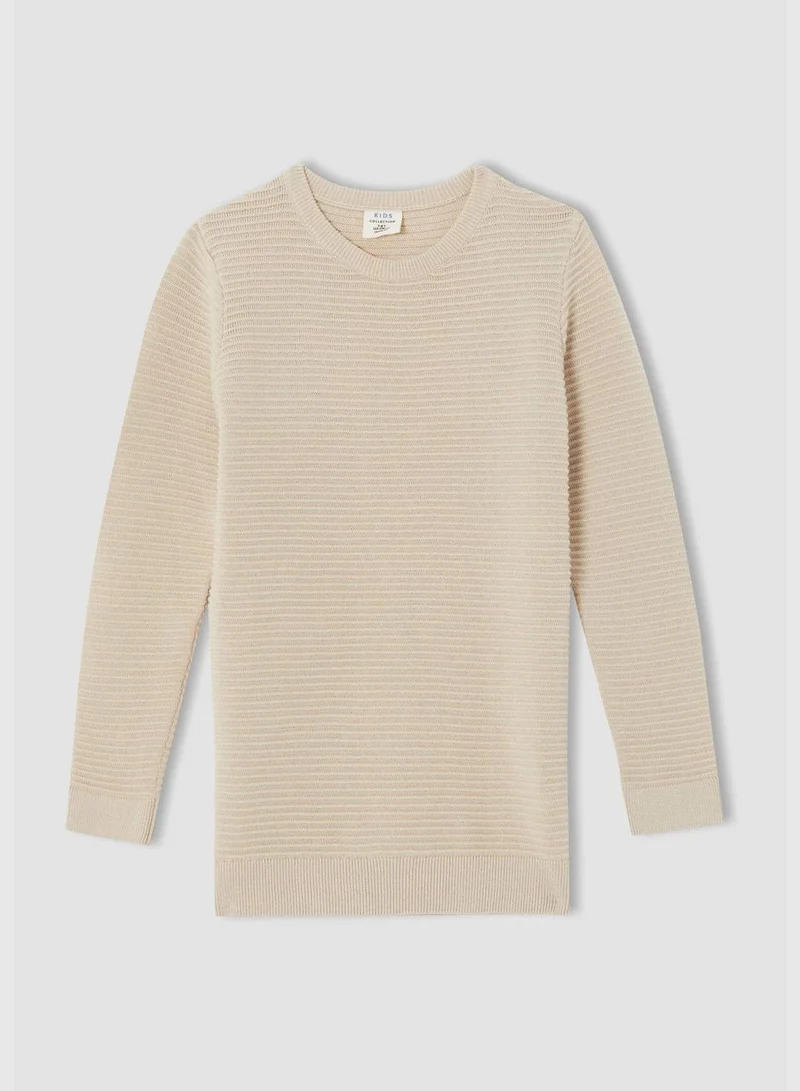 DeFacto Slim Fit Long Sleeve Crew Neck Knit Sweater