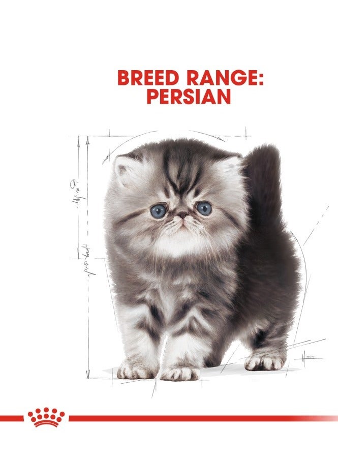 Royal Canin Feline Breed Nutrition Persian Kitten Dry Food 2kg - Image 3