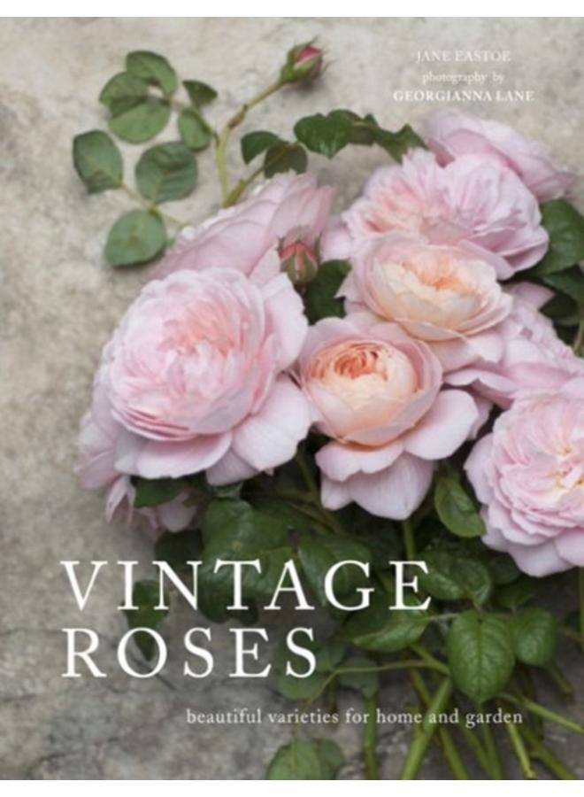 Vintage Roses : Beautiful varieties for home and garden