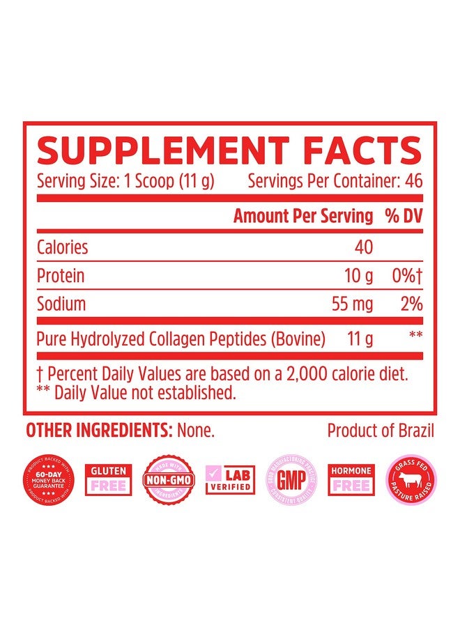 Zhou Collagen Peptides - Pure Hydrolized Collagen Powder for Women & Men, Grass Fed Natural Bovine Collagen for Skin, Hair Growth, Joints & Bones - 18 oz Jar (46 Servings) - Image 2