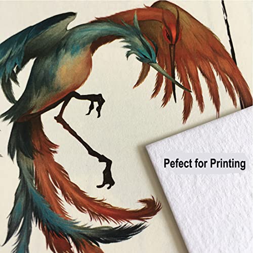 YVMVDV 20 Sheets Cream Cardstock Paper 8.5 x11 inch, 250gsm Cardstock Paper for DIY Arts and Cards Making, Invitations, Stationary Printing,Scrapbook Supplies (250gsm/92lb) - Image 4
