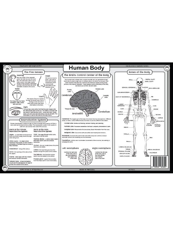 Tot Talk Human Body Educational Placemat for Kids â€“ Made in USA â€“ Durable, Double-Sided, Body's Biology, Including its Systems, Anatomy & 5 Senses â€“ Waterproof Wipeable, 17.5â€ x 11.5â€ - Image 2