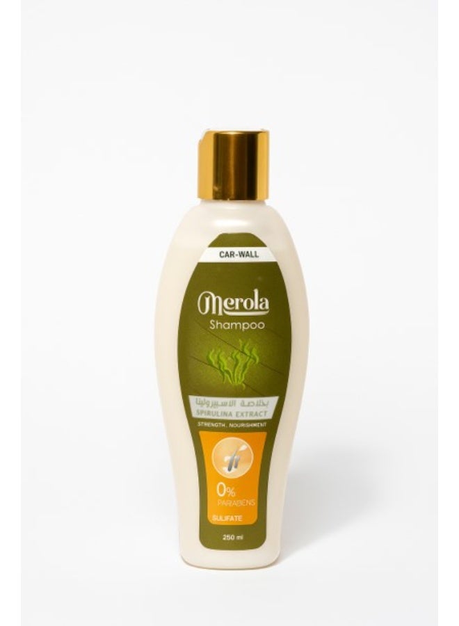 Merola Shampoo