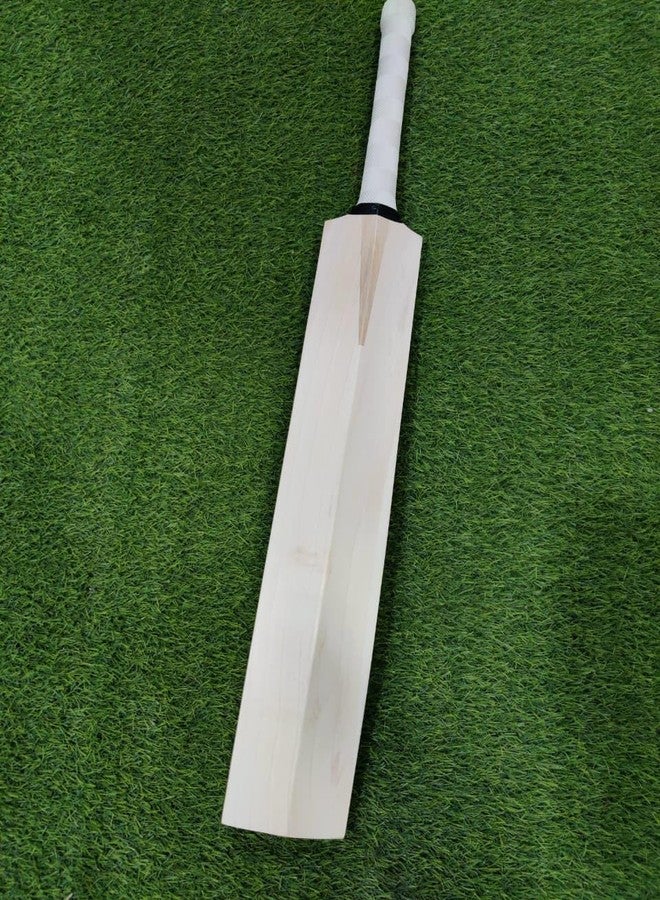 تبلد مضرب كريكيت من خشب الصفصاف الإنجليزي للرجال والنساء | حجم كامل | مقبض قصير | خفيف الوزن | غطاء مجاني | SAG - Image 3