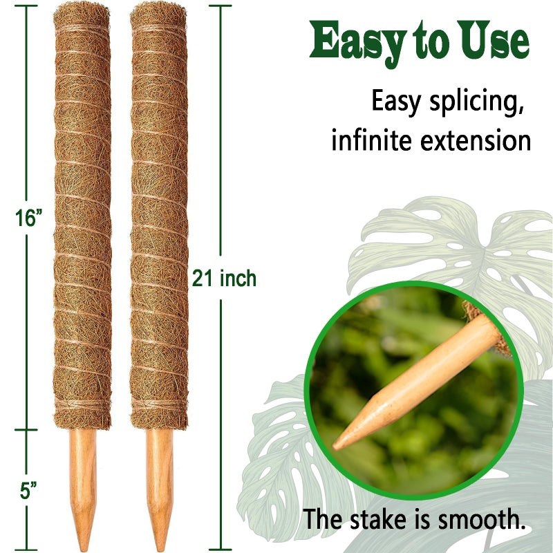 CHIAFFI 2 Pack 21 Inch Moss Poles, Stackable Moss Pole for Plants Monstera, 37 Inch Tall Moss Poles for Climbing Plants Indoor, Coir Totem Plant Support Stakes Stand for Potted Plants, Pothos - Image 2