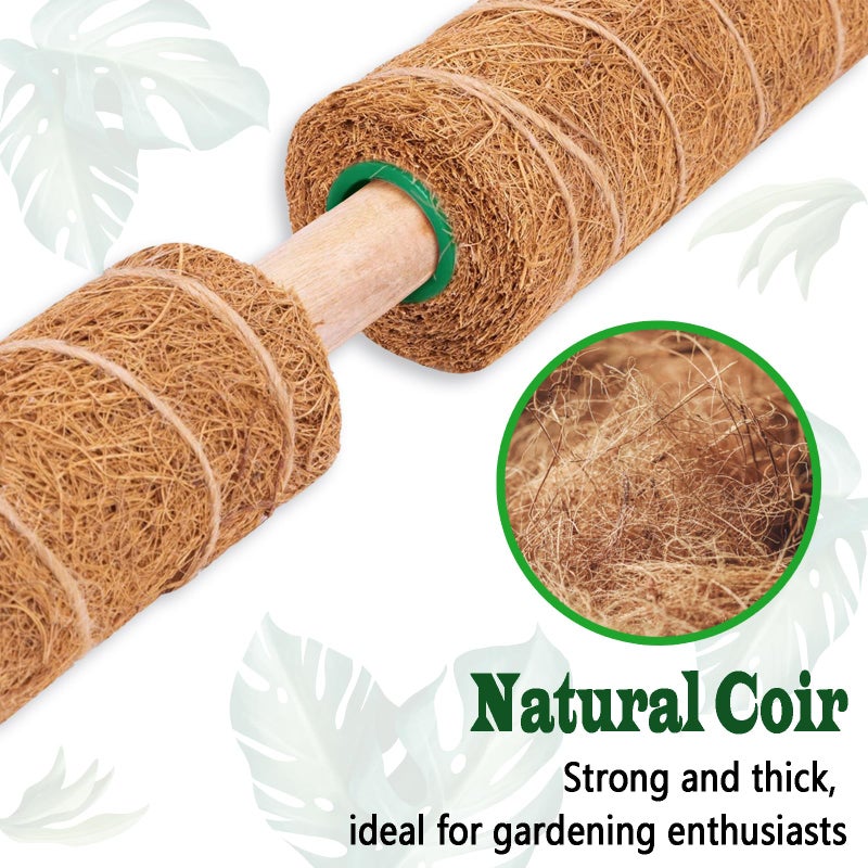CHIAFFI 2 Pack 21 Inch Moss Poles, Stackable Moss Pole for Plants Monstera, 37 Inch Tall Moss Poles for Climbing Plants Indoor, Coir Totem Plant Support Stakes Stand for Potted Plants, Pothos - Image 3