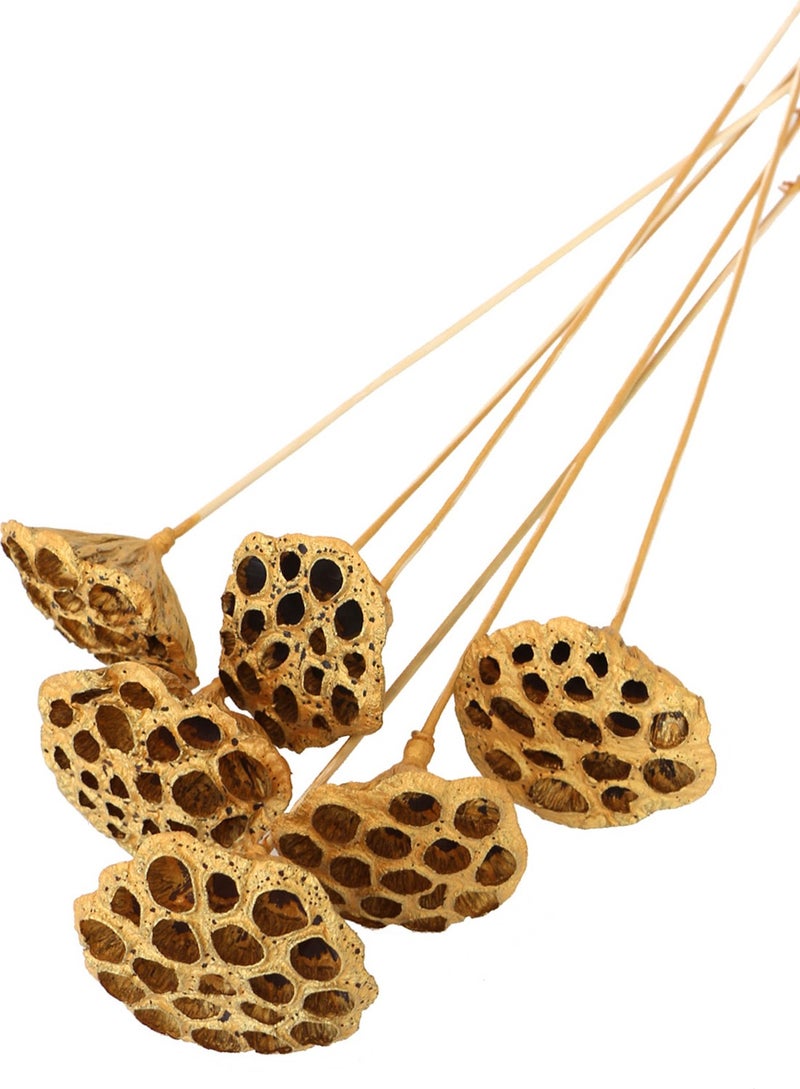 Generic Artificial Flower Warehouse Succulent Lotus Plant Lotus Flower with Bamboo Stem 6 Pieces Gold Color 