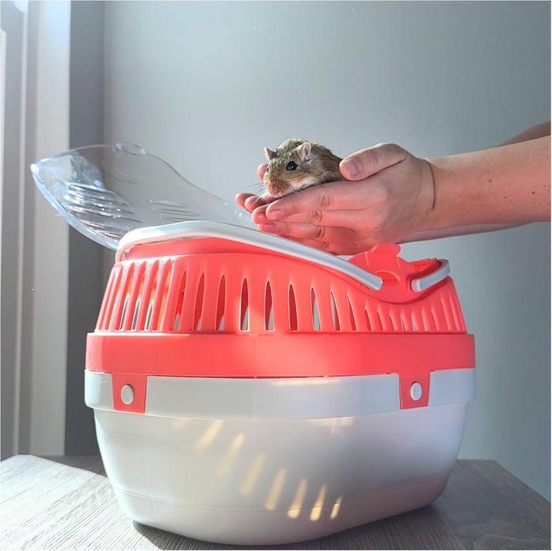 TRIXIE Pico Transport Crate Small Pet Carrier Portable Travel Carrier for Small Pets Hamsters Guinea Pig Lizards - Image 3