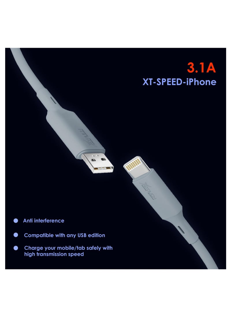 XTOUCH - XTOUCH USB to Fast Charging and Data Cable Compatible for iPhone 3 FT Pack of 1 Grey - Image 1