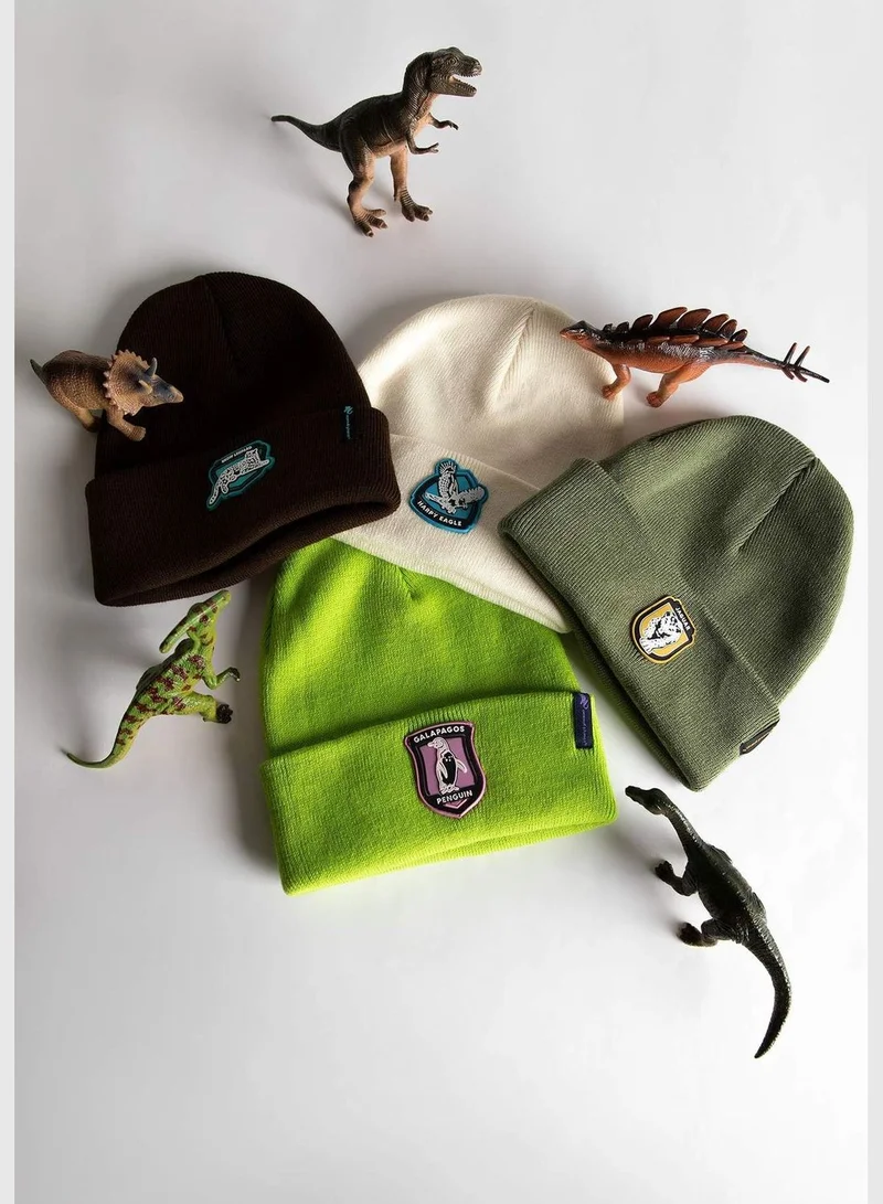 DeFacto Woman Animal Planet Licenced Beret