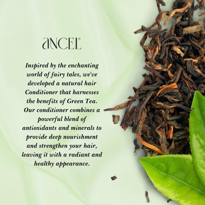 Ancel Ancel Green Tea Conditioner with Green Tea Extract 300ml Tea Tree Oil Rosebay Extract Almond Oil Shea Butter For Deep Cleansing Dandruff Free Scalp For Men Women - Image 3