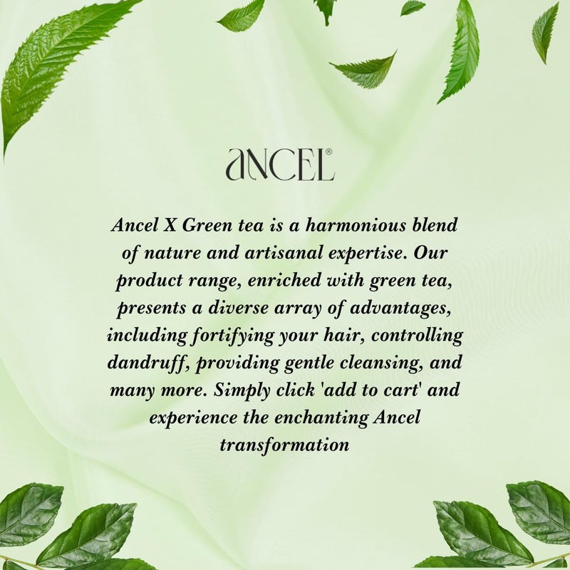 Ancel Ancel Green Tea Conditioner with Green Tea Extract 300ml Tea Tree Oil Rosebay Extract Almond Oil Shea Butter For Deep Cleansing Dandruff Free Scalp For Men Women - Image 4
