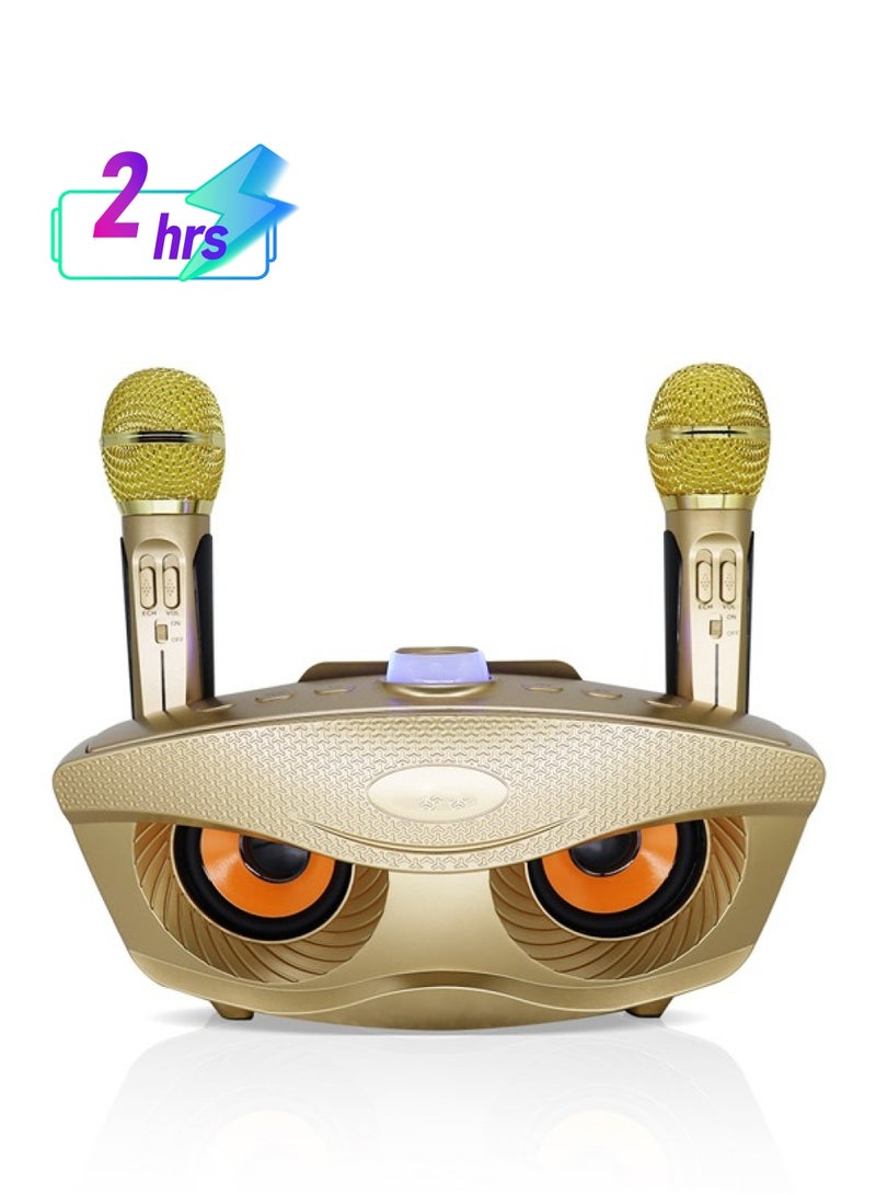 Padom 2 in 1 Family Karaoke Portable Wireless Live Dual Microphone And Bluetooth Speaker - Image 1