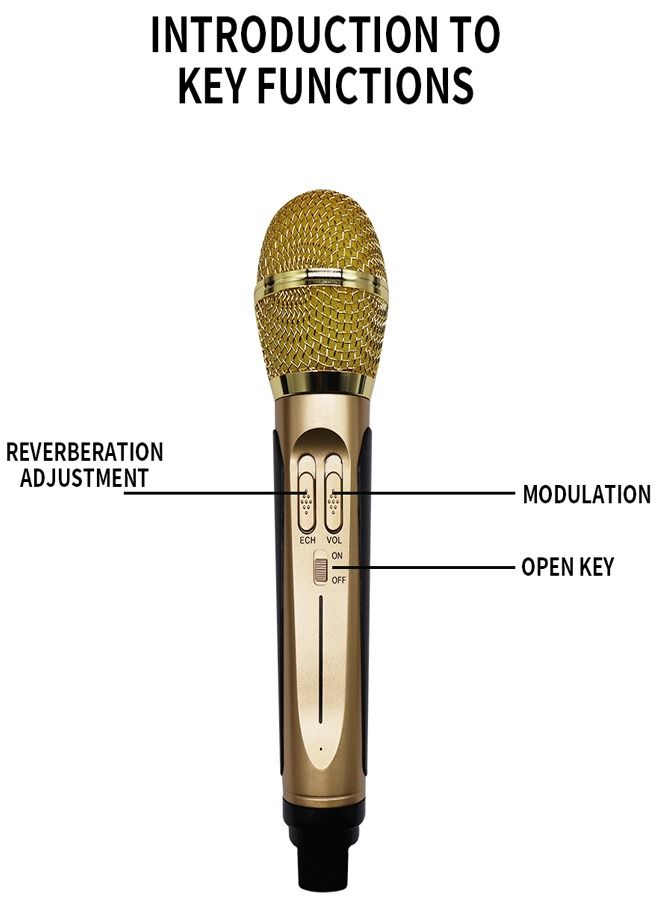 Padom 2 in 1 Family Karaoke Portable Wireless Live Dual Microphone And Bluetooth Speaker - Image 5