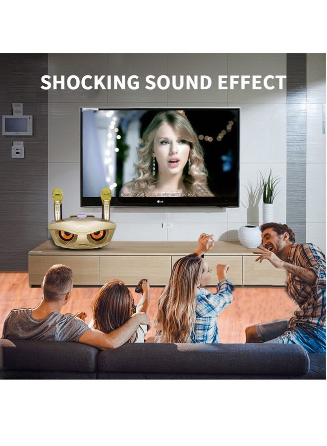 Padom 2 in 1 Family Karaoke Portable Wireless Live Dual Microphone And Bluetooth Speaker - Image 4