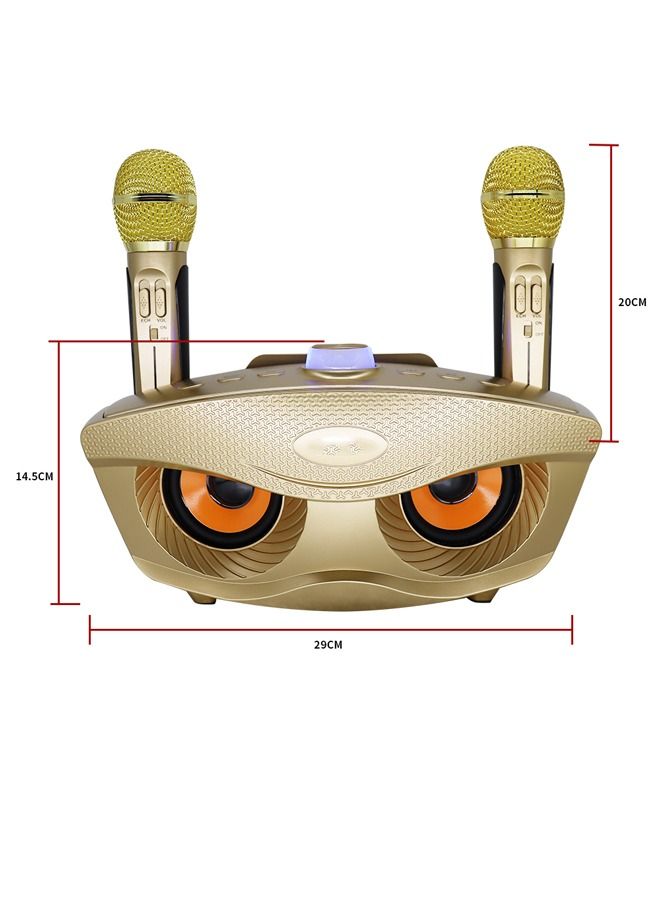 Padom 2 in 1 Family Karaoke Portable Wireless Live Dual Microphone And Bluetooth Speaker - Image 2