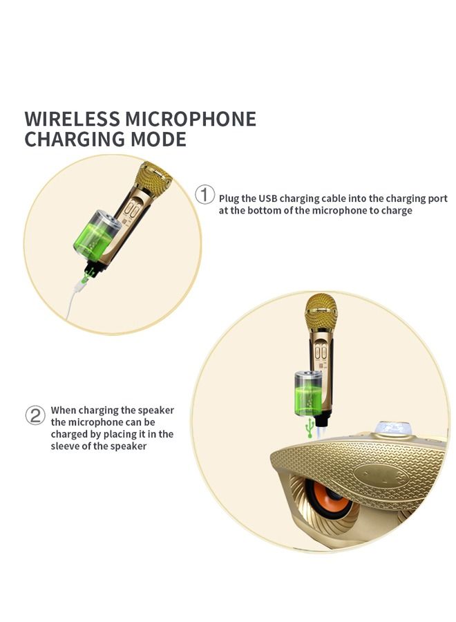 Padom 2 in 1 Family Karaoke Portable Wireless Live Dual Microphone And Bluetooth Speaker - Image 3