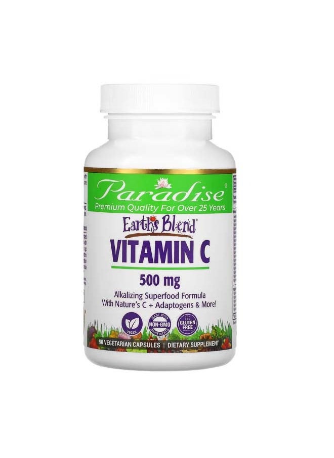 Earth's Blend Vitamin C 500 mg 90 Vegetarian Capsules - pzsku/ZEF2AE500125B99BE63FDZ/45/_/1698682174/0efab44f-3a04-4e2b-afc7-3a049c5fe04c