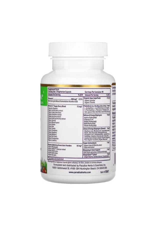 Earth's Blend Vitamin C 500 mg 90 Vegetarian Capsules - pzsku/ZEF2AE500125B99BE63FDZ/45/_/1698682175/4a7ff4a4-85d1-46ec-bbf2-f12dca68e1a9