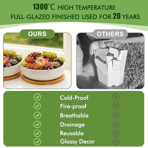 ZOUTOG Succulent Pots,6 Inch Succulent Planters with Drainage and Tray,White Ceramic Planters for Indoor Plants,Round Shallow Flower Plant Pots,Pack of 2 - Image 5