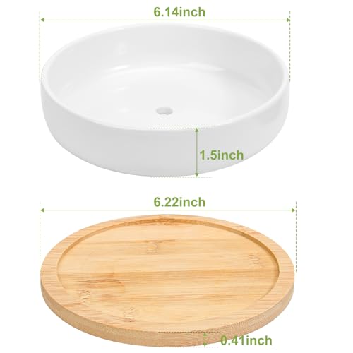 ZOUTOG Succulent Pots,6 Inch Succulent Planters with Drainage and Tray,White Ceramic Planters for Indoor Plants,Round Shallow Flower Plant Pots,Pack of 2 - Image 3